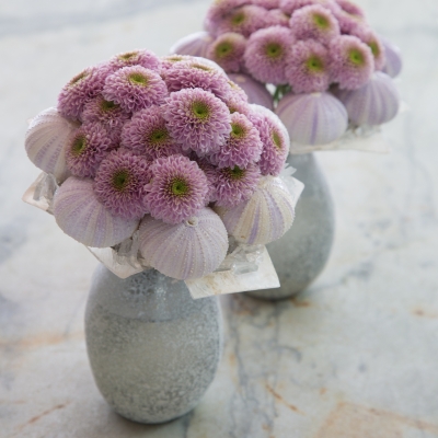 Small bouquets with Chrysanthemums 'Doria Pink'
