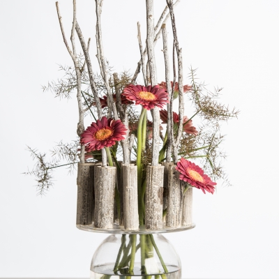 Gerbera's always bring color!