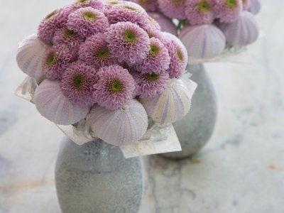 Winterse boeketjes met chrysanten 'Doria Pink'
