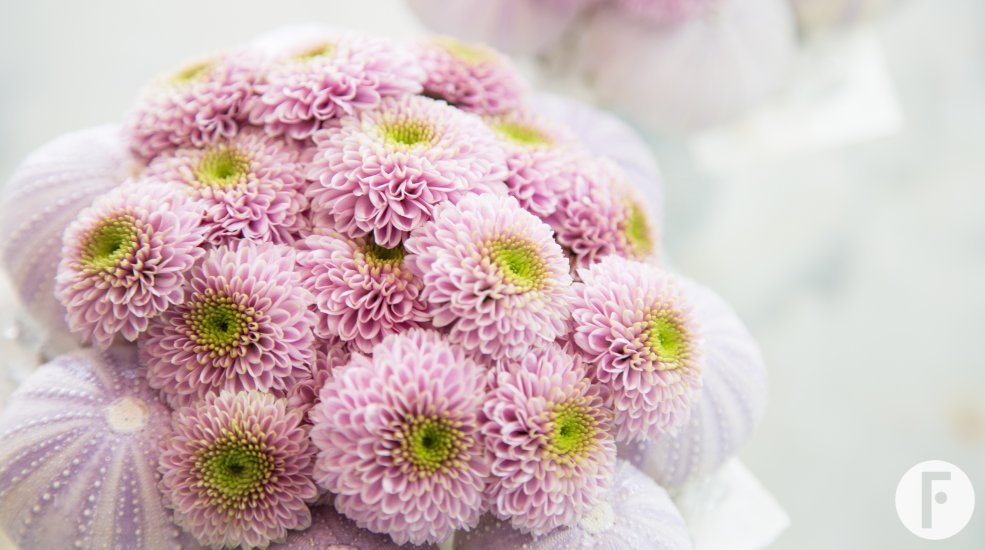 wintermoodboard Zentoo design 1 close klein