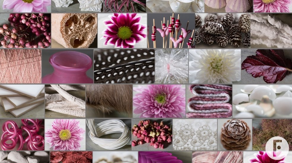 Zentoo winter mood board klein