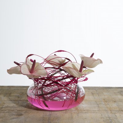 Anthuriums voor moederdag!