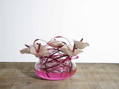 Anthuriums voor moederdag!