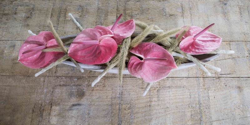 Sterk arrangement om lang van te genieten 