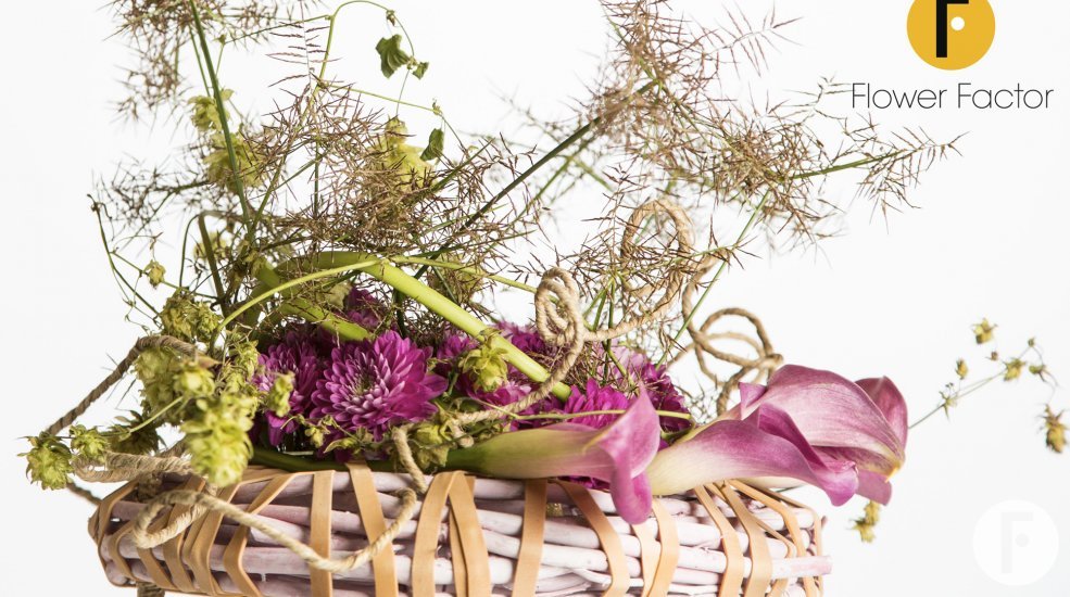 zentoo chrysant64 zomer klemmen moederdag