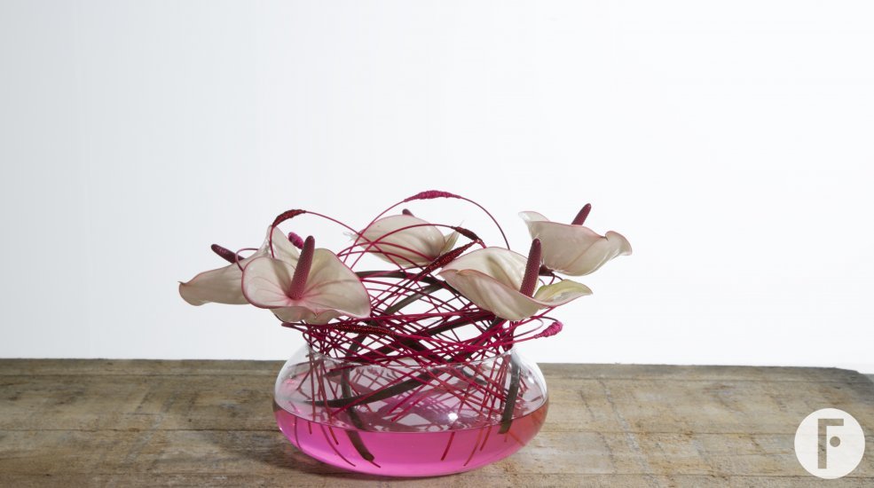 fiore 958 kopie jpeg