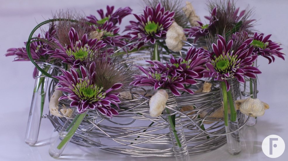 Zentoo chrysant60 omwikkelen buisjes zomer