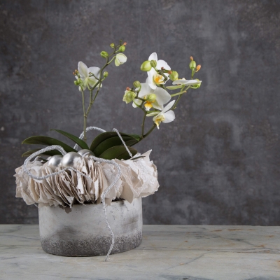 Winter orchid design