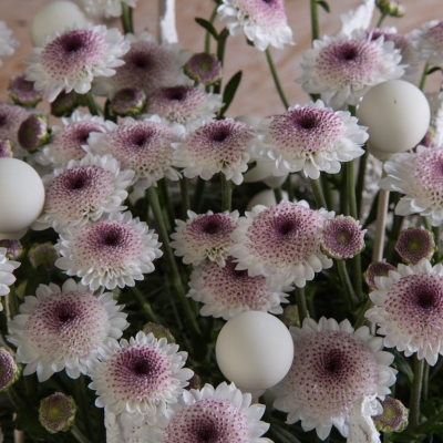 Polka dots voor kerst