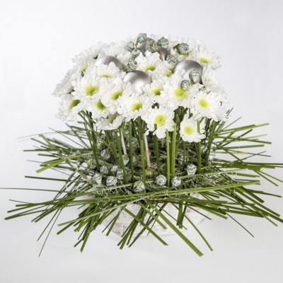 Winter wonder composition