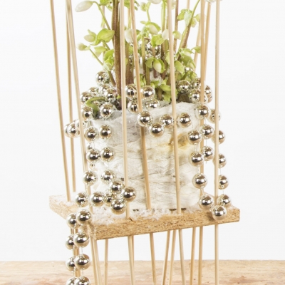  Christmas design ''Verboom beauty''