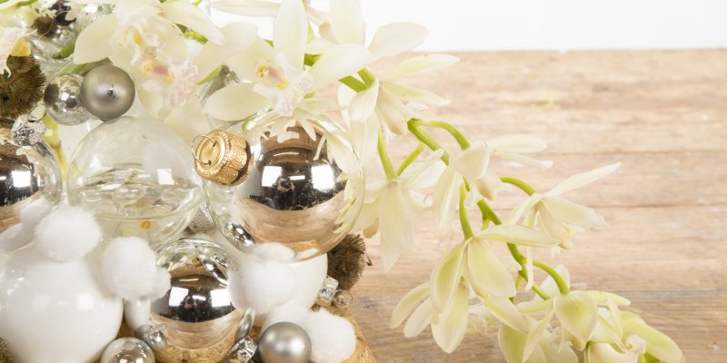 Winter design with Cymbidiums