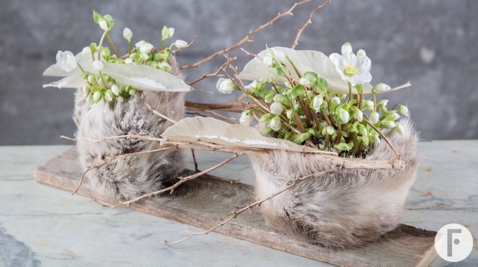 570A06721 kopie jpeg