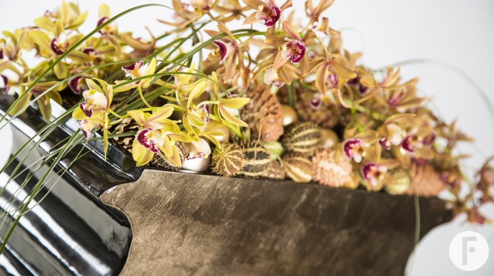 LZ Cymbidium Christmas5