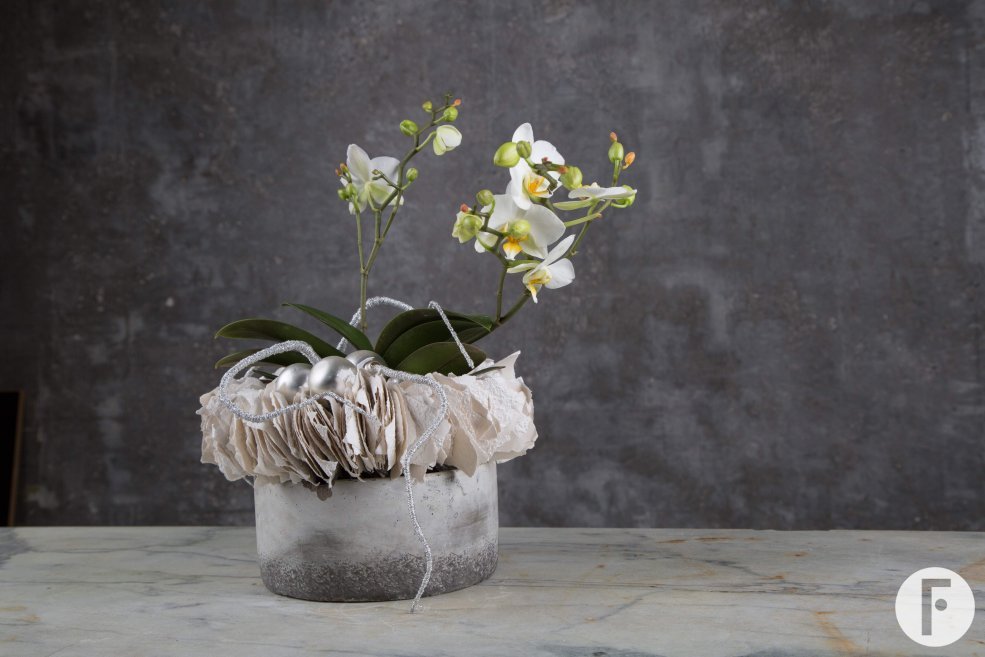 570A07161 kopie JPEG