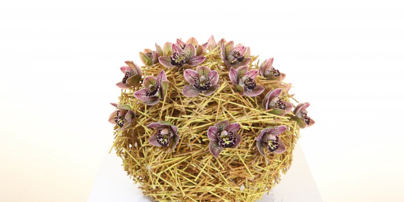 Paasbol van pitriet en Cymbidium