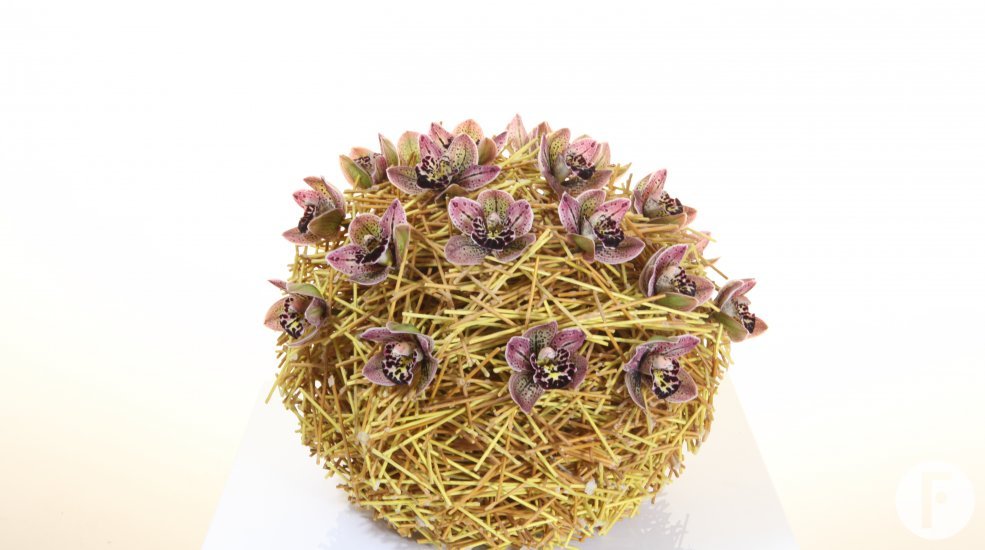 LZorchidee cymbidium kaarsvet pasen