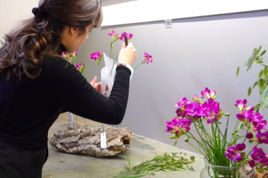 #FreestyleFreesia by Roos van Unen