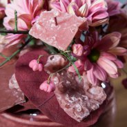 grand salmon and cardinals hat close