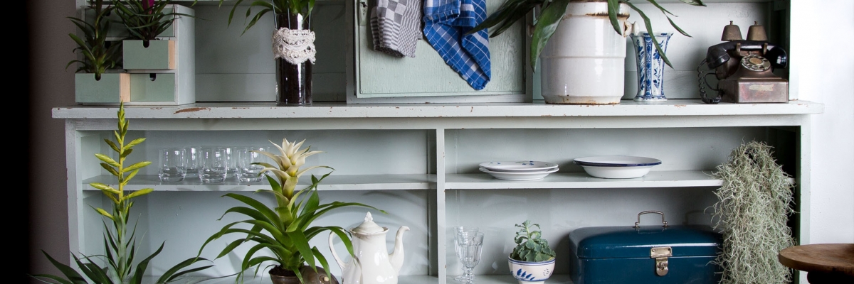 Bromelia's op display