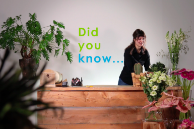 Wist je dat... het niet uitmaakt hoe je het doet...