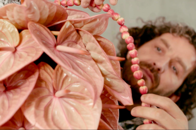 a stylish Anthurium arrangement