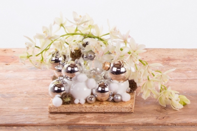 Cascade Cymbidium for Christmas Cascade Cymbidium for Christmas