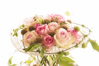 Romantic Rose Design Romantic Rose Design