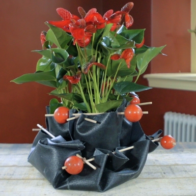 Anthurium design by Iris van Werkhoven