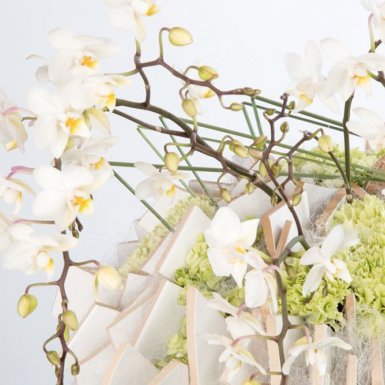 Lente design door David Ragg