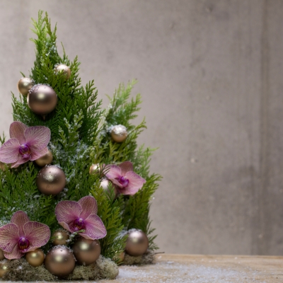 Alternatieve kerstboom