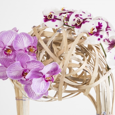 Construction with wood & phalaenopsis 