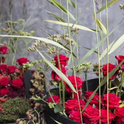 A Floral Love Story - close up