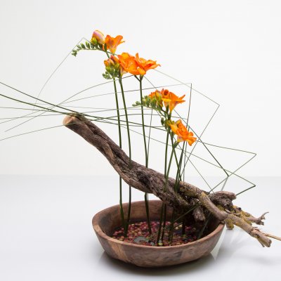Minimalistic and natural Freesia Design
