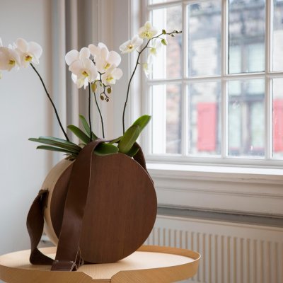 Luxueuze orchideeën