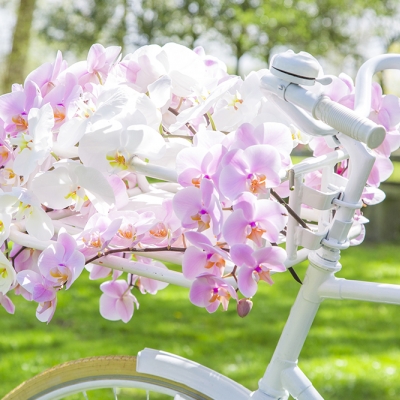 Close up 'trouwfiets'