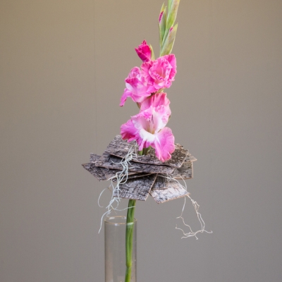 single Gladiola design