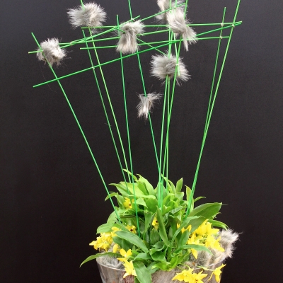 Plant arrangement by Yvonne Scheenloop