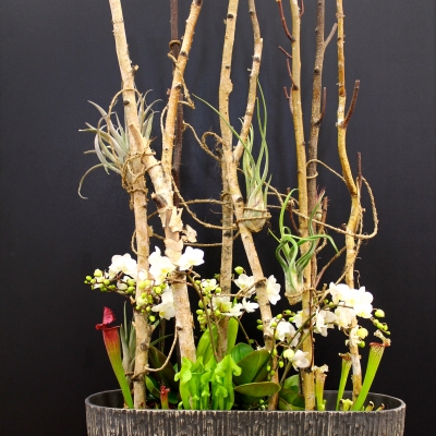 Design by Janneke Camps