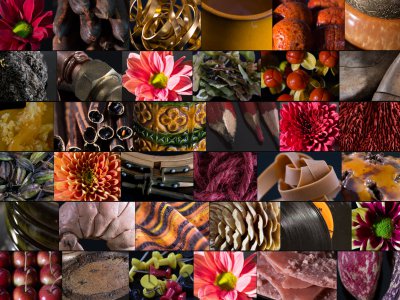 Herfst moodboard met chrysanten