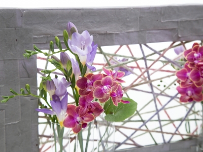 Freesia and Phalaenopsis combination Freesia and Phalaenopsis combination