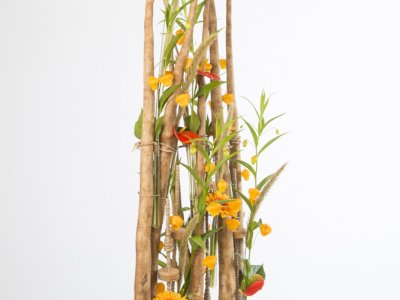 Tall Wood Design by David Ragg Tall Wood Design by David Ragg