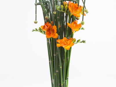 Freesia design with Equisetum