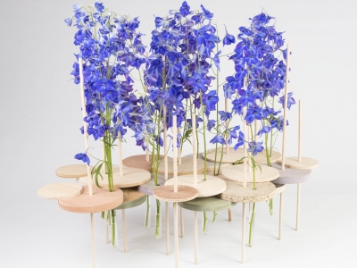 Design with Delphinium 