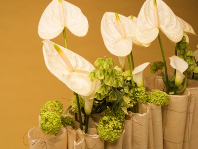 Anthurium design van Geertje Stienstra