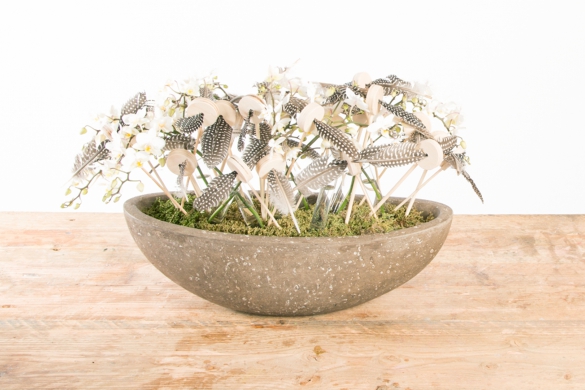 Orchideeën en veren festijn