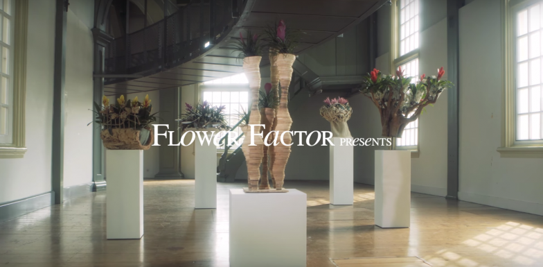 The art of Bromeliad