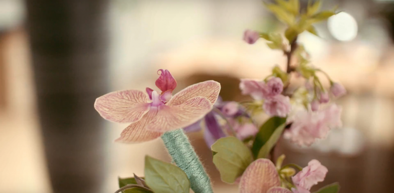 Eén snij-Phalaenopsis tak, vier ontwerpen