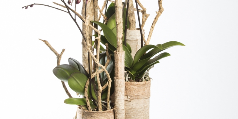 Basis met natuurlijk materiaal