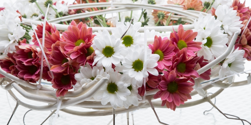 Clothes hangers and Chrysanthemums